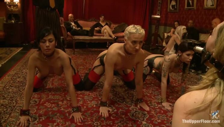 [TheUpperFloor] - Lily Labeau and Gang Get Humiliated and Fucked - Lily Labeau - Derrick Pierce - Beretta James - Krysta Kaos - Dylan Ryan