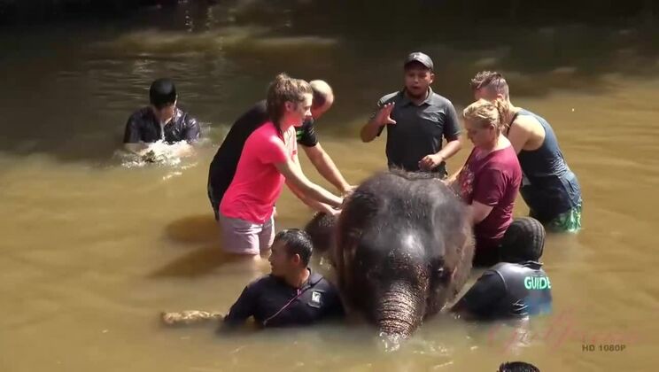 [ATKGirlfriends] - Elena Koshka's Outdoor Exhibitionism - Elena Koshka