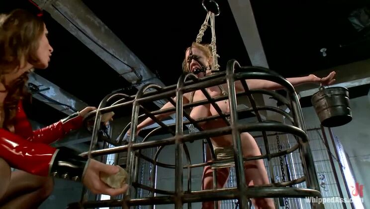 [WhippedAss] - BDSM Anal: Ariel X Takes Charge of Dee Williams - Dee Williams - Ariel Carmine