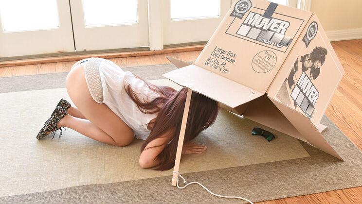 [ExxxtraSmall] - Petite Teen Thief Trapped - Elle Voneva