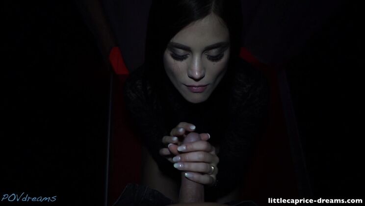 Czech Brunette POV Blowjob with Big Cock