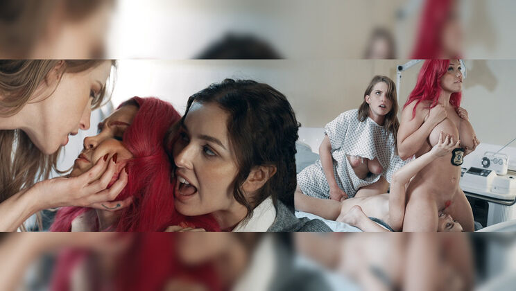 [FutanariXXX] - Hot Blowjob Action from Busty Transzz Stars - Lily Lou - Octavia Red - Leana Lovings